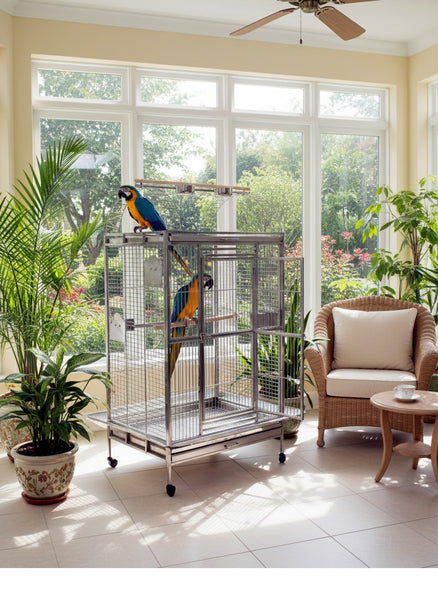 304 Stainless Steel XL Extra Large Bird Parrot Macaw Indoor