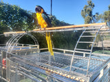 Large 304 Stainless Steel Indoor / Outdoor Parrot Macaw Bird Cage w/ Play Top Stand
