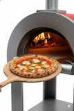 Outdoor Stainless Artisan Wood Fired Charcoal Pizza Bread Oven BBQ Grill RED Enamel Upgrade