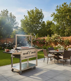 Stainless Steel Outdoor Charcoal BBQ Parrilla Santa Maria / Argentine Grill Spit