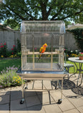 Indoor / Outdoor 39" x 29" x 67" #304 Stainless Steel Dometop Bird / Parrot Cage + Seed Catcher