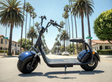 2000W Seat Fat Tire CityCoco Electric Scooter Moped 20AH Lithium Battery