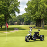 Electric 3 Wheel Trike Scooter Golf Cart Harley Style Chopper Mobility Motorcycle Gloss Black Fenders