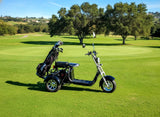 Electric 3 Wheel Trike Scooter Golf Cart Harley Style Chopper Mobility Motorcycle Gloss Black Fenders