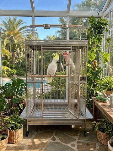 Large 304 Stainless Steel Indoor / Outdoor Parrot Macaw Bird Cage w/ Play Top Stand