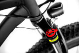 1000W Electric Fat Snow Tire Mountain Bike Bicycle EBike 17AH Samsung BAFANG LCD