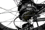 1000W Electric Fat Snow Tire Mountain Bike Bicycle EBike 17AH Samsung BAFANG LCD