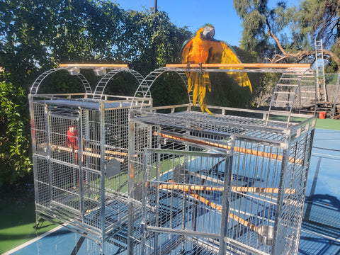 Beautiful view of Gardening With Macaw Cages Outdoor