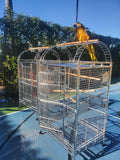 BULK SALE - Two (2 Units) - XL Size Indoor / Outdoor 304 Stainless Steel Bird Parrot Macaw Cages