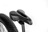 1000W Electric Fat Snow Tire Mountain Bike Bicycle EBike 17AH Samsung BAFANG LCD