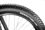 1000W Electric Fat Snow Tire Mountain Bike Bicycle EBike 17AH Samsung BAFANG LCD