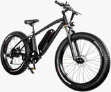 1000W Electric Fat Snow Tire Mountain Bike Bicycle EBike 17AH Samsung BAFANG LCD