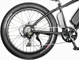 1000W Electric Fat Snow Tire Mountain Bike Bicycle EBike 17AH Samsung BAFANG LCD