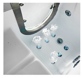 NEW 20 Jet Walk In Hydrotherapy Whirlpool Bathtub Spa Massage Therapy Bath Tub Double Pump